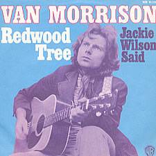 Van Morrison : Redwood Tree